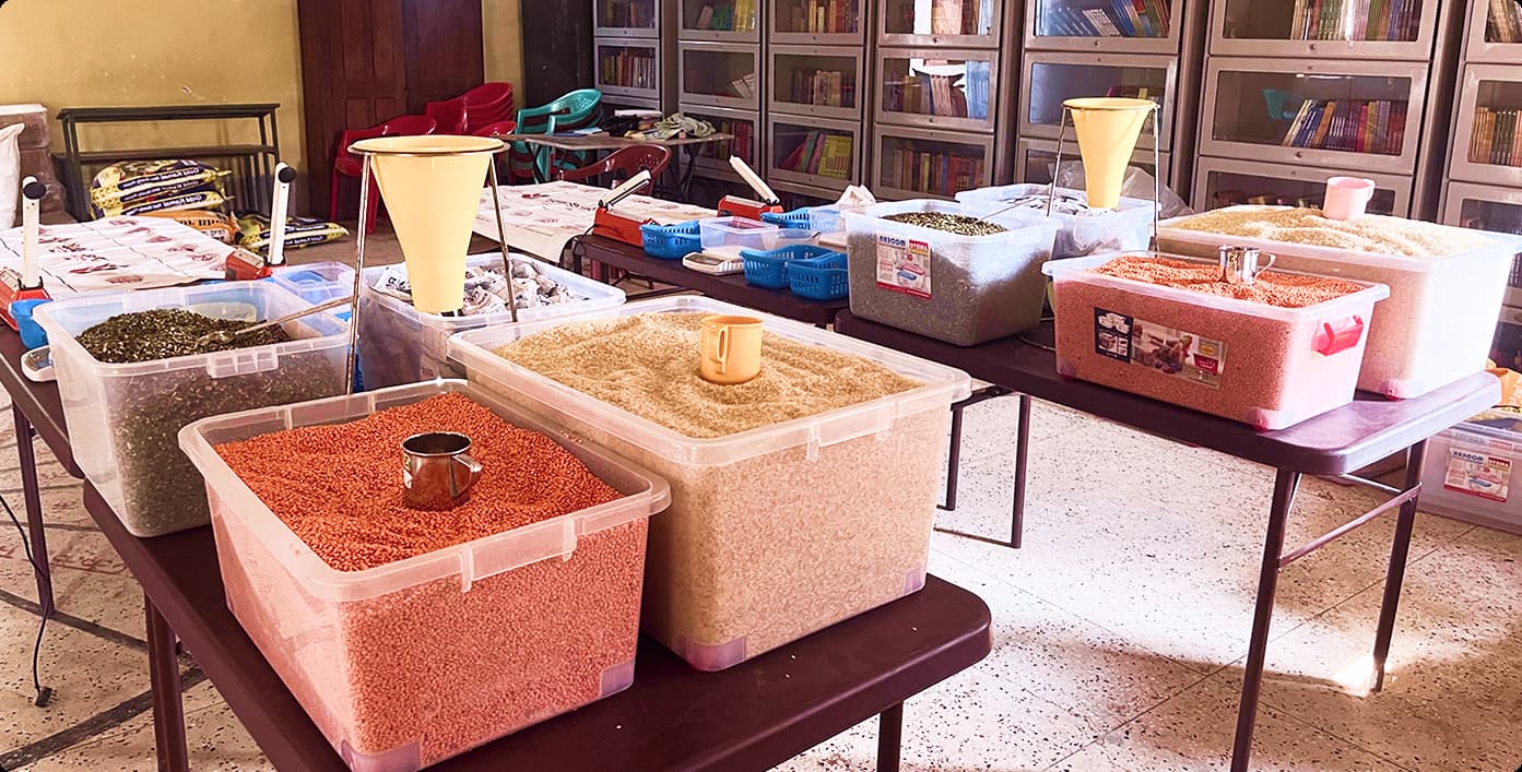 Nourishing lives image